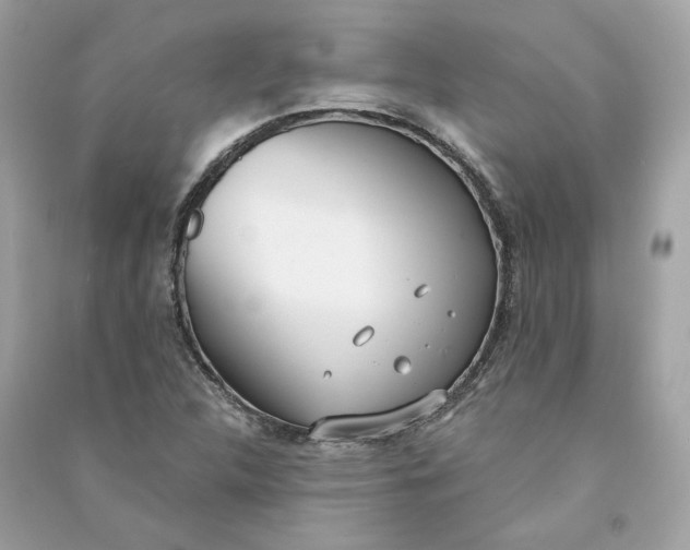 X0000090751312200708101716