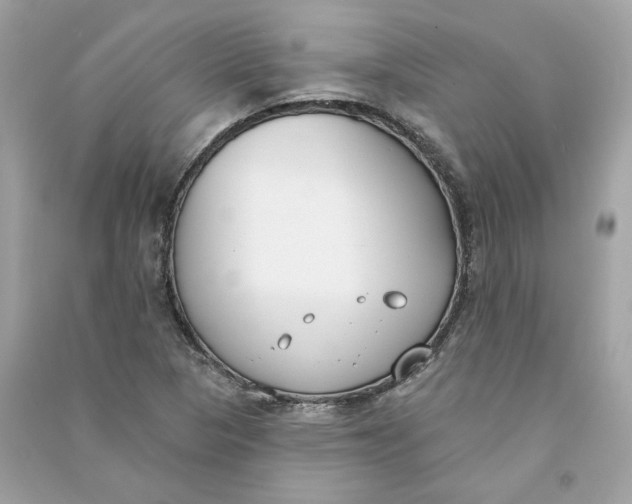 X0000090751313200708101716