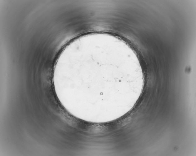 X0000090751314200708101716