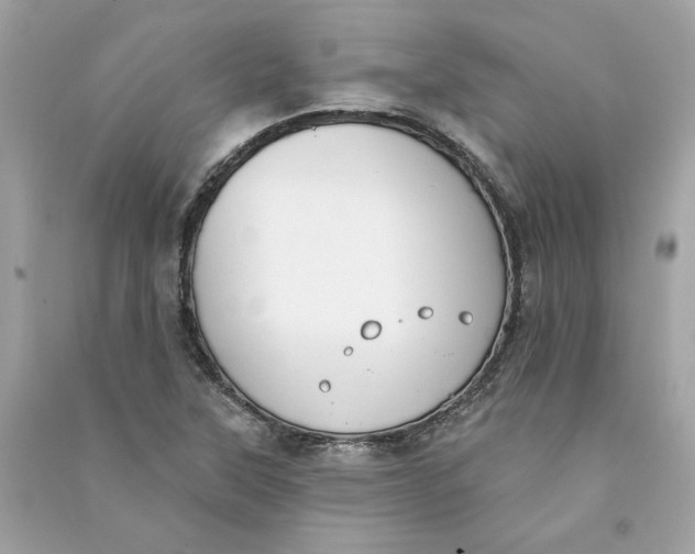 X0000090751315200708101716