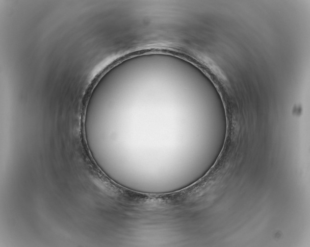 X0000090751316200708101716