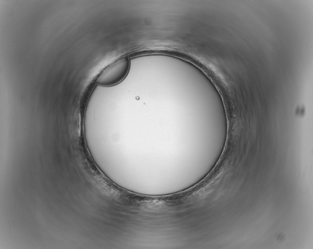 X0000090751317200708101716