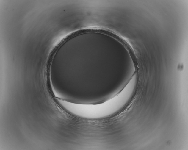 X0000090751319200708101716