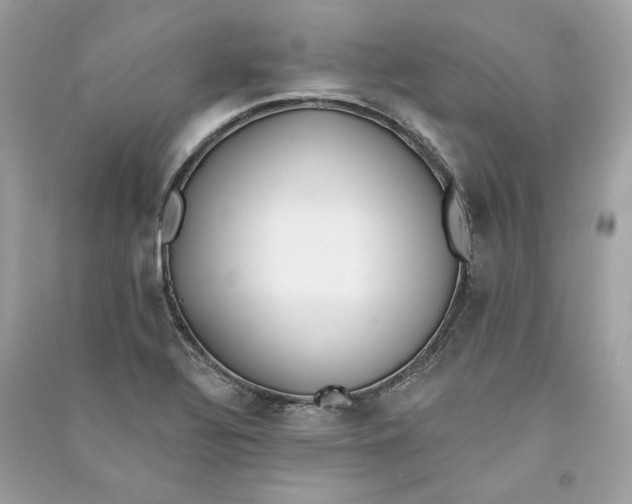 X0000090751320200708101716