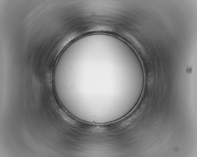 X0000090751321200708101716