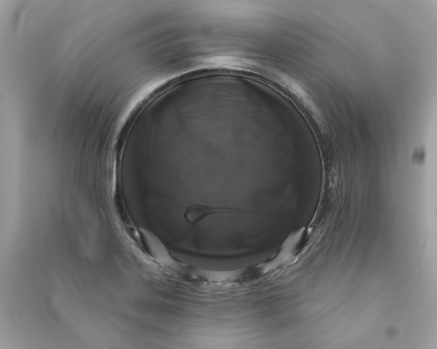 X0000090751323200708101716