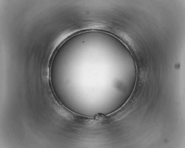 X0000090751324200708101716