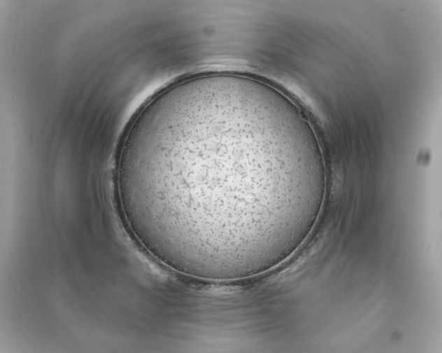 X0000090751325200708101716