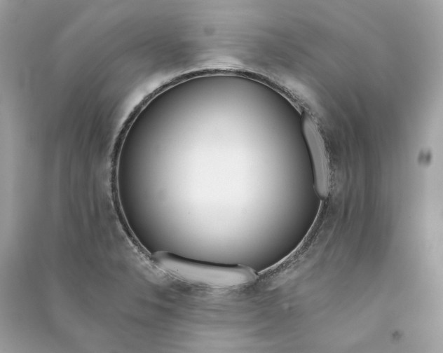 X0000090751326200708101716