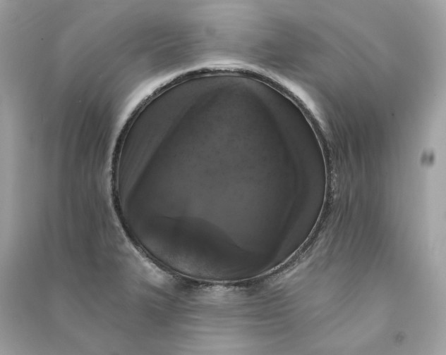 X0000090751327200708101716