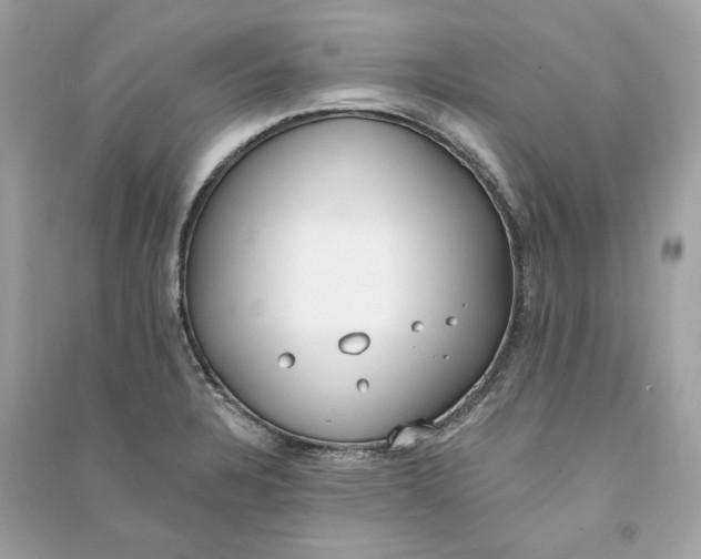 X0000090751328200708101716