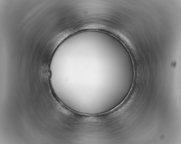 X0000090751329200708101716