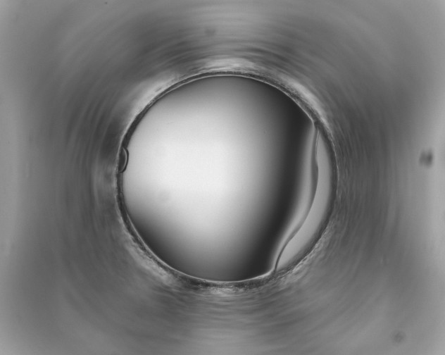 X0000090751330200708101716