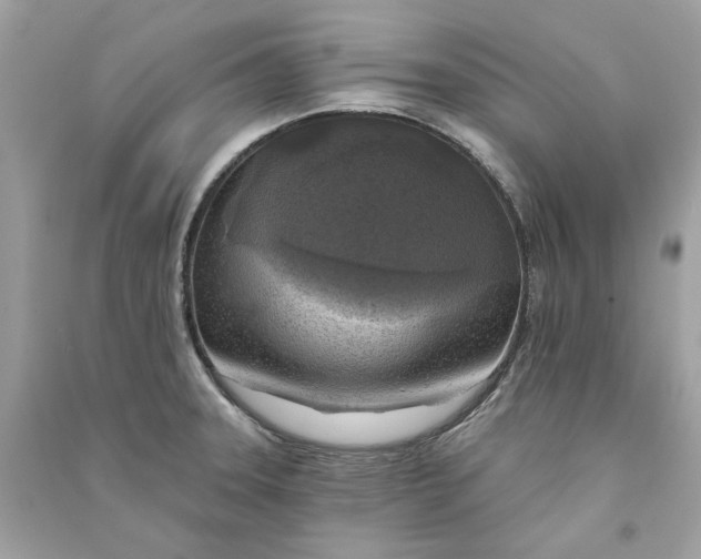 X0000090751331200708101716