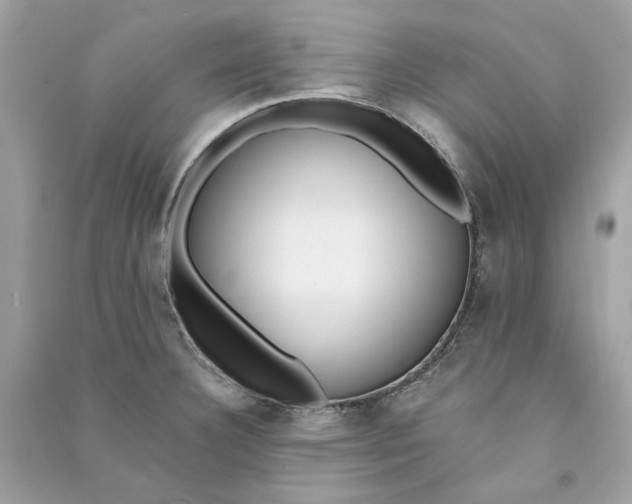 X0000090751332200708101716