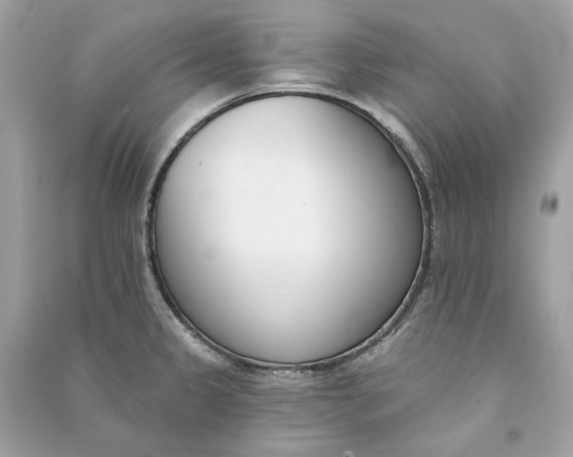 X0000090751333200708101716