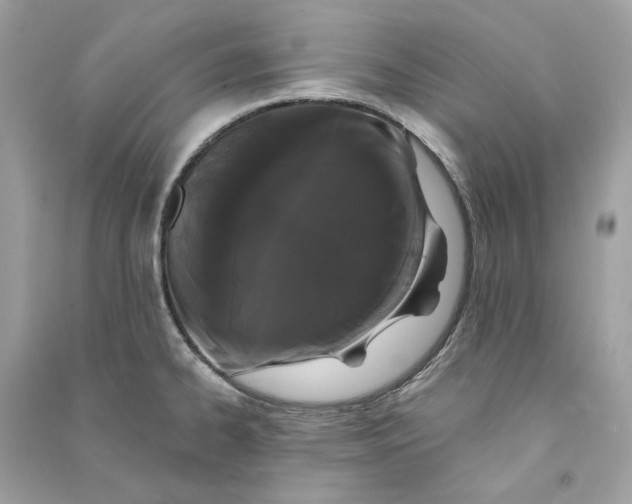 X0000090751334200708101716