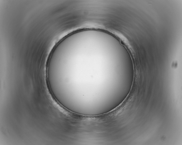 X0000090751335200708101716