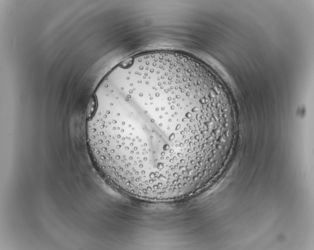 X0000090751337200708101716