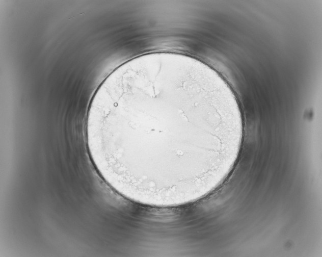 X0000090751338200708101716