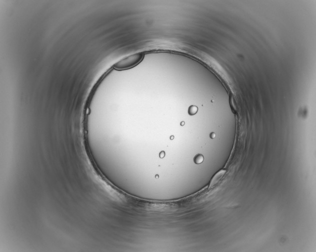 X0000090751339200708101716