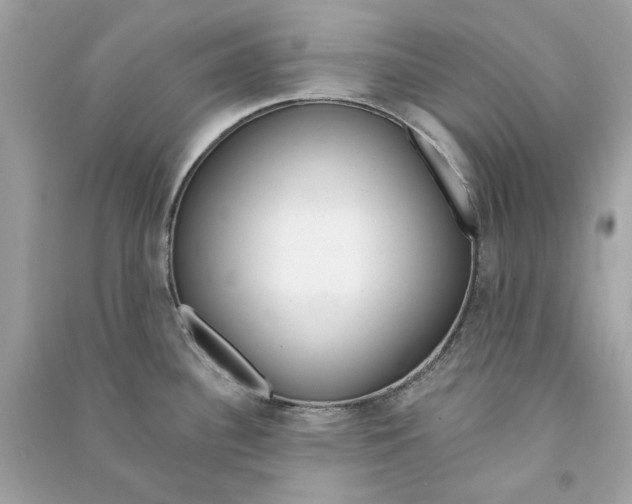 X0000090751340200708101716