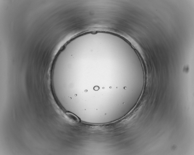 X0000090751341200708101716