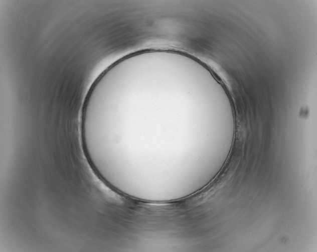 X0000090751343200708101716