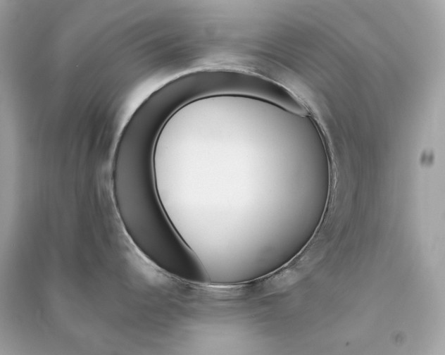 X0000090751344200708101716