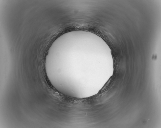 X0000090751345200708101716