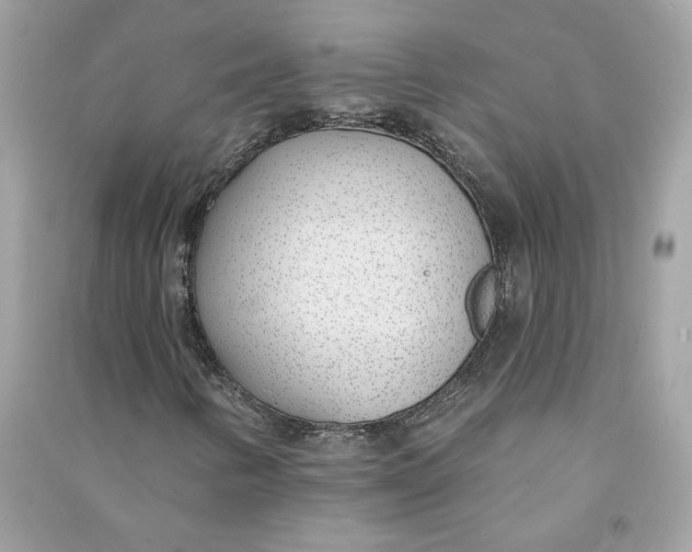 X0000090751346200708101716