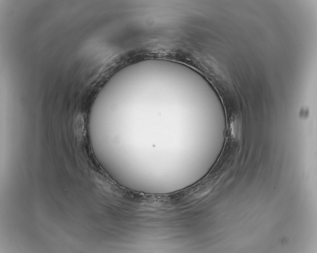 X0000090751347200708101716