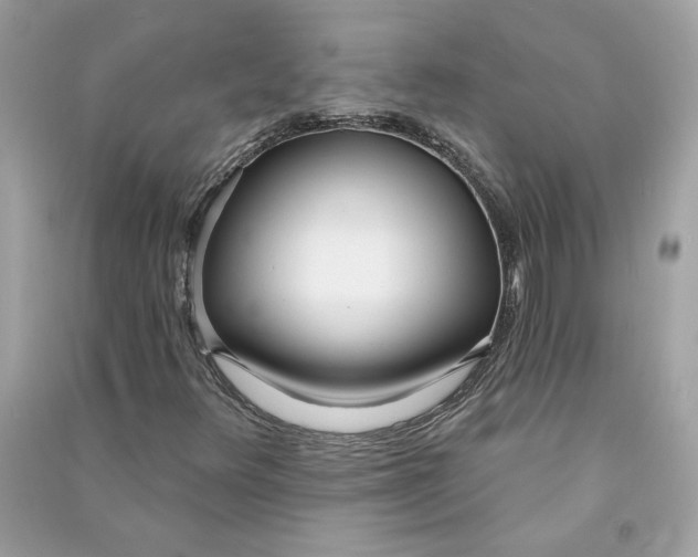 X0000090751348200708101716