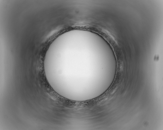 X0000090751350200708101716