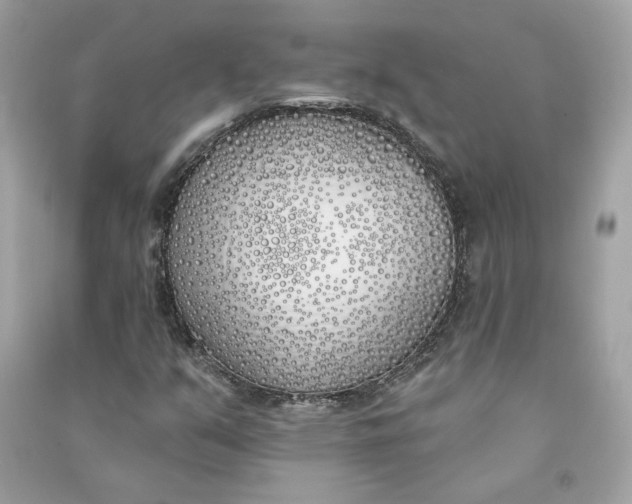 X0000090751351200708101715