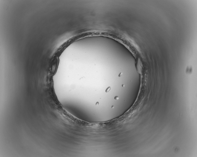 X0000090751352200708101715