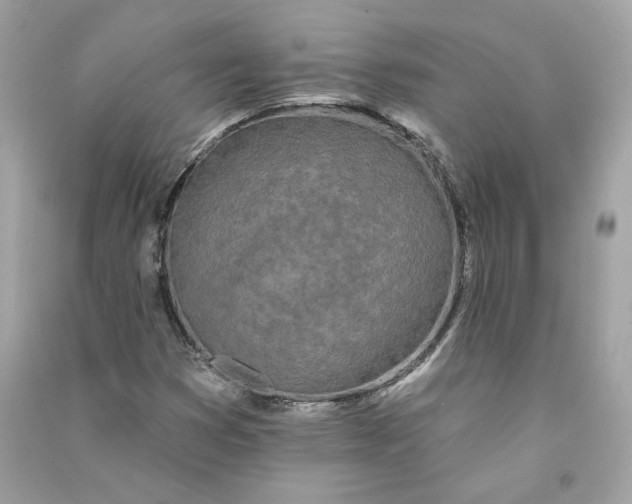 X0000090751353200708101715