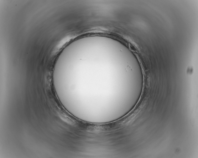 X0000090751355200708101715