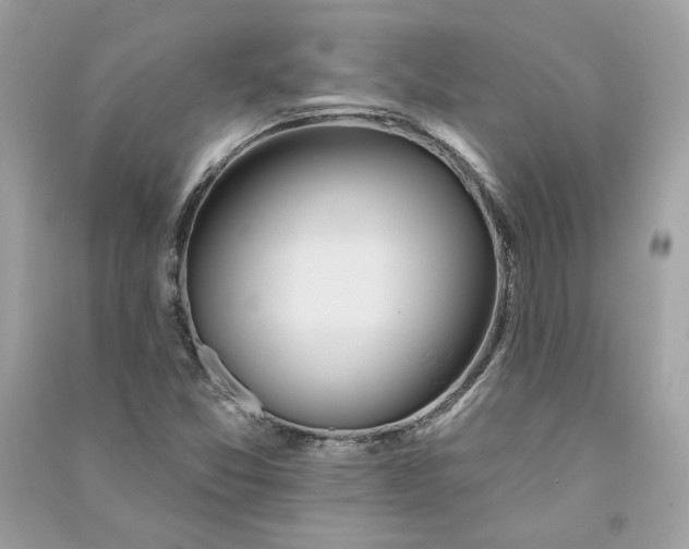 X0000090751357200708101715