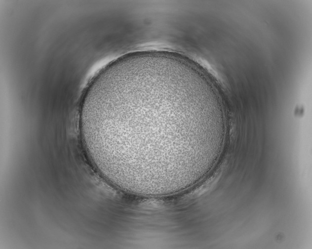 X0000090751358200708101715