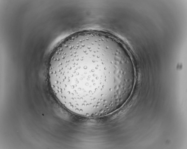 X0000090751359200708101715