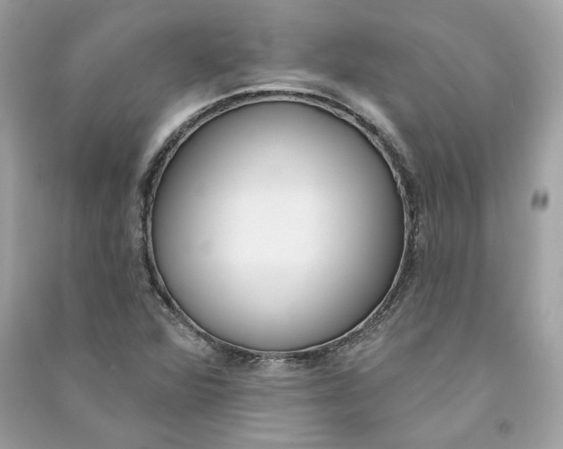 X0000090751360200708101715