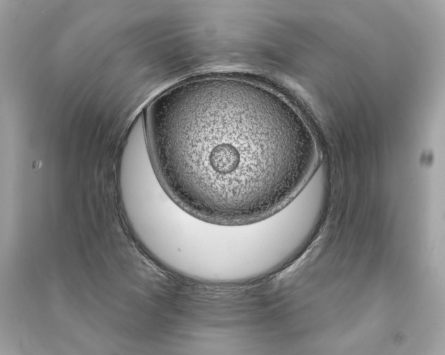 X0000090751361200708101715