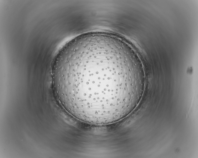 X0000090751363200708101715