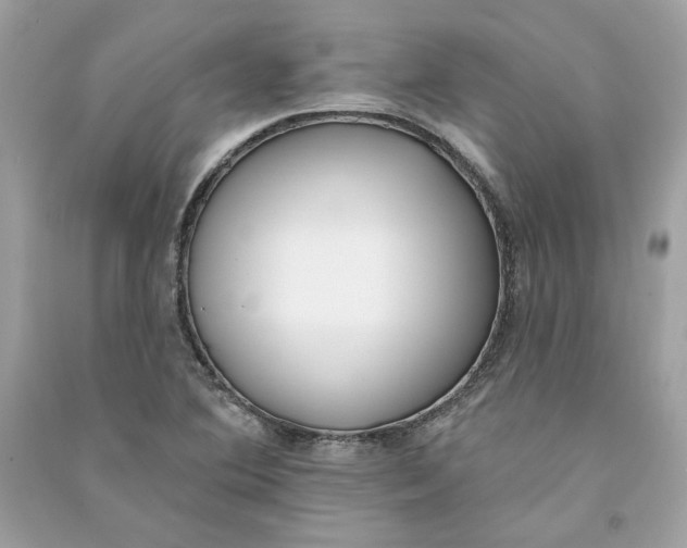 X0000090751364200708101715