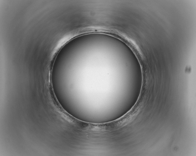 X0000090751365200708101715