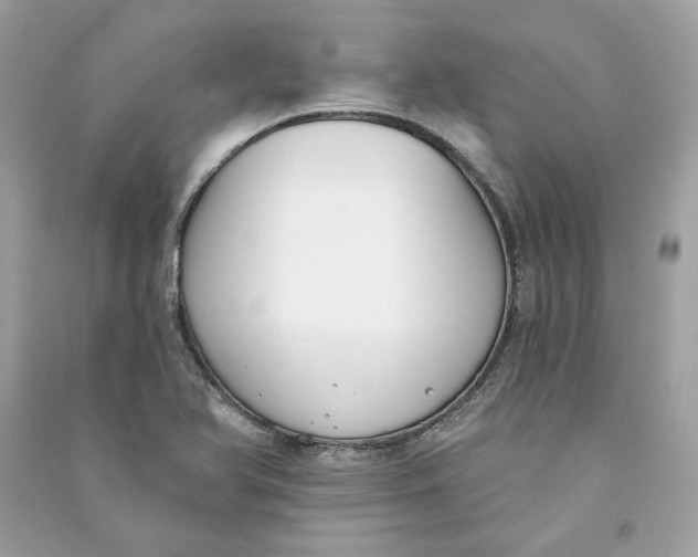 X0000090751366200708101715