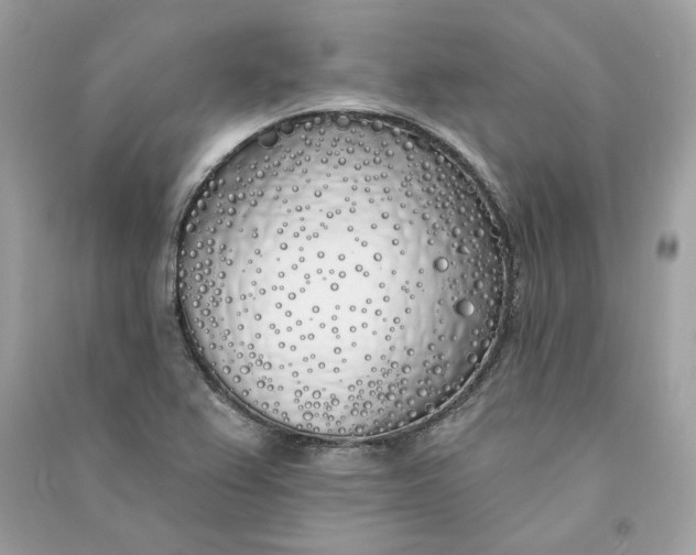 X0000090751367200708101715