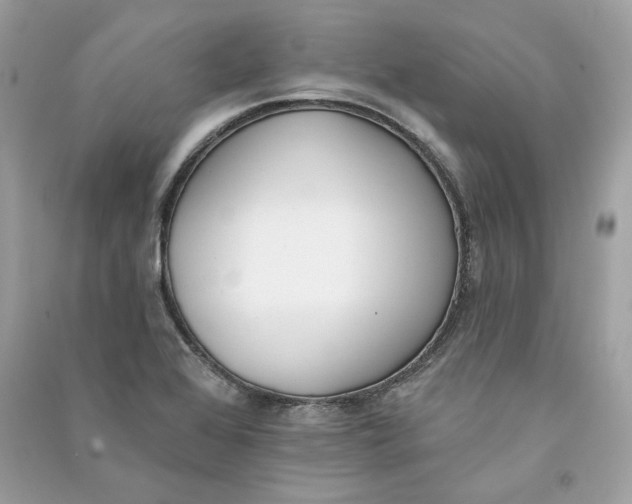 X0000090751368200708101715