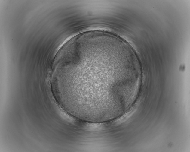 X0000090751369200708101715